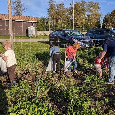 a group gardening outdoors